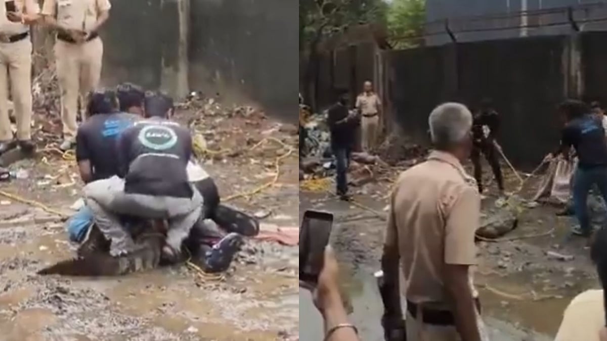 Crocodile Rescued Near Mumbai's Powai Lake