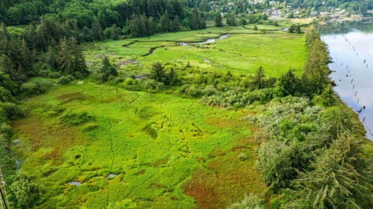 Oregon Restores 9-Acre Marsh