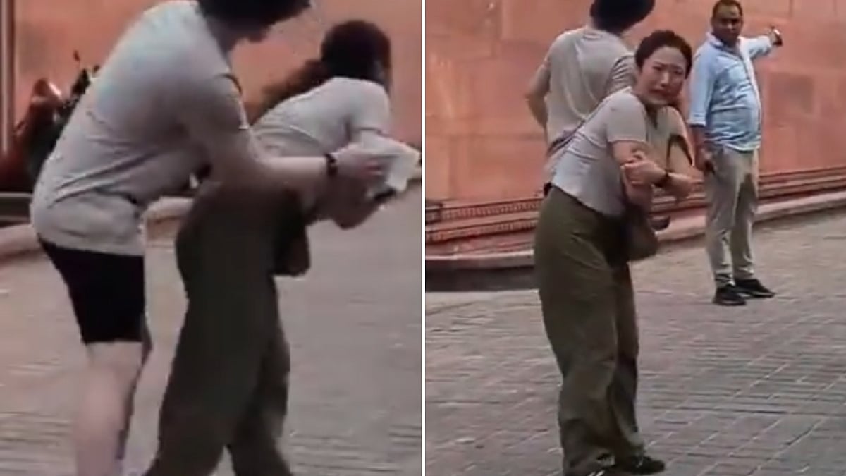 Monkey Bites South Korean Tourist At Taj Mahal
