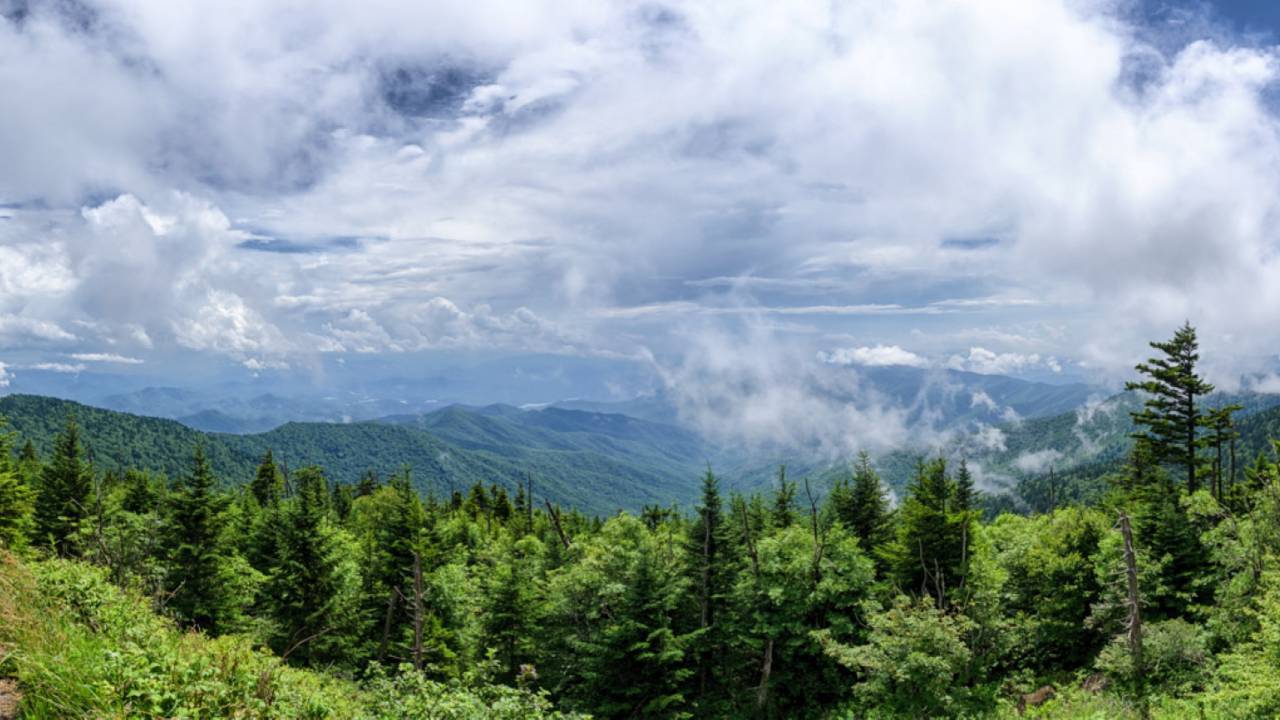 Tennessee Farmer Loses Land to National Park