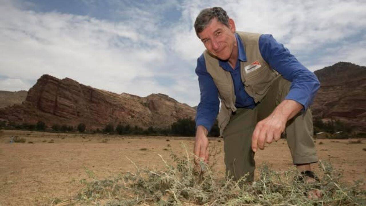 Niger Farmers Regrow 200 Million Trees