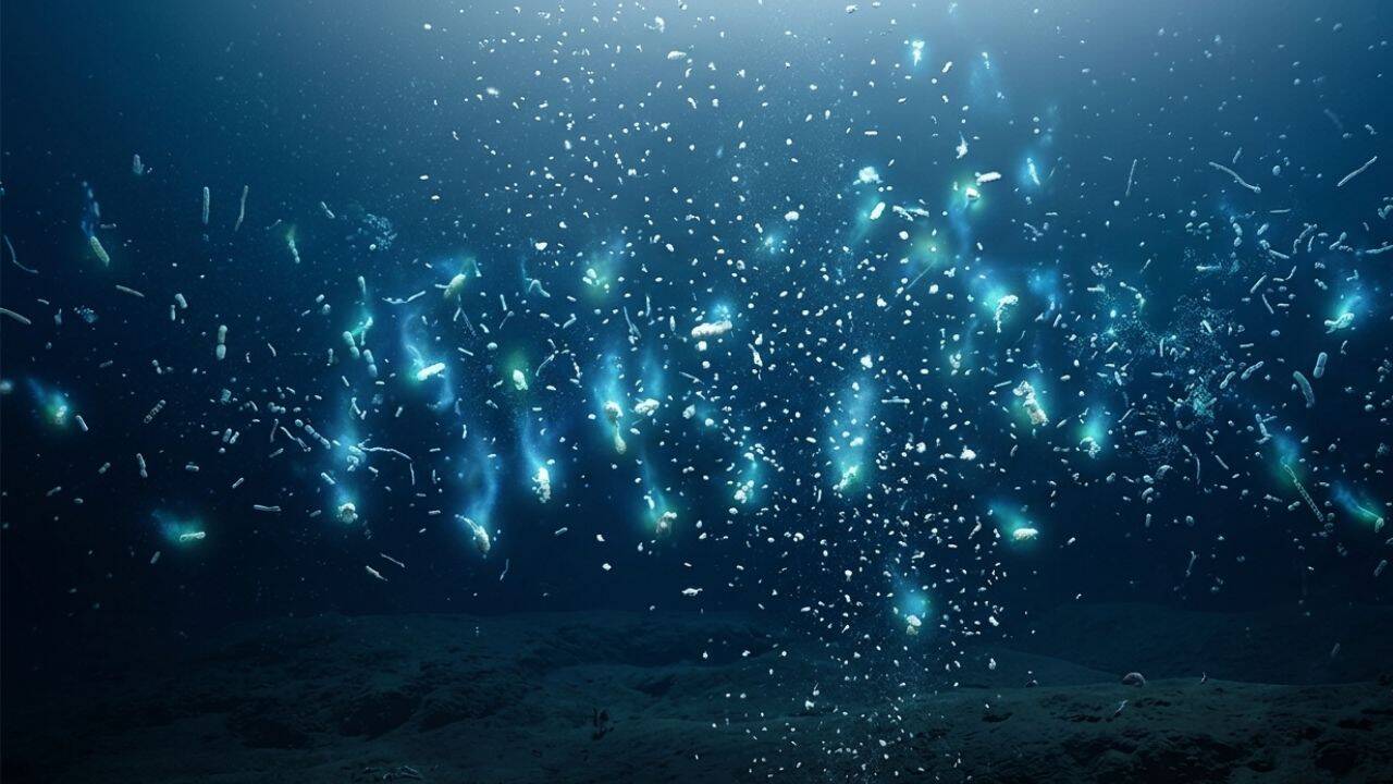 Deep-Sea Pressure Releases Nutrients For Microbes