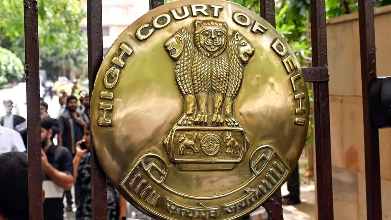 Delhi HC Questions Jantar Mantar Protests