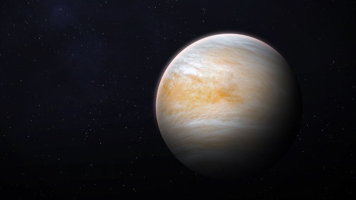 Venus Enters Virgo: Love and Romance Under Scrutiny