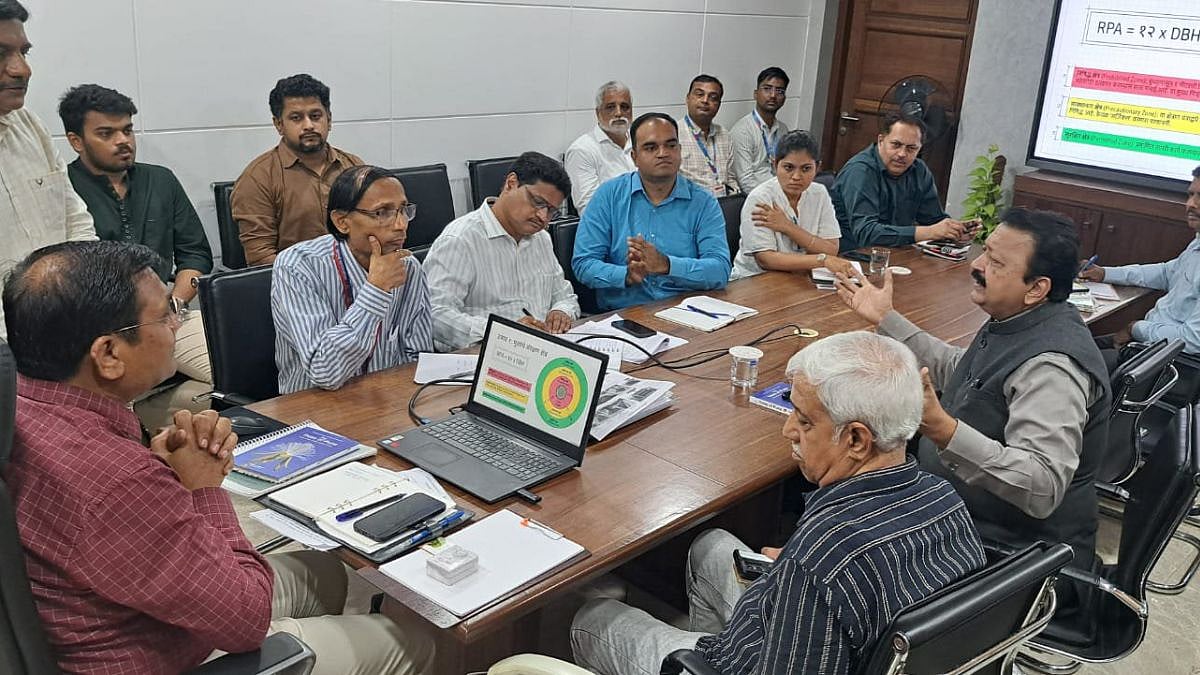 BMC Proposes Survey To Identify Hazardous Trees