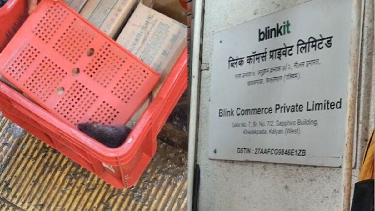 Rat Found in Kalyan Blinkit Outlet Ice Cream Freezer