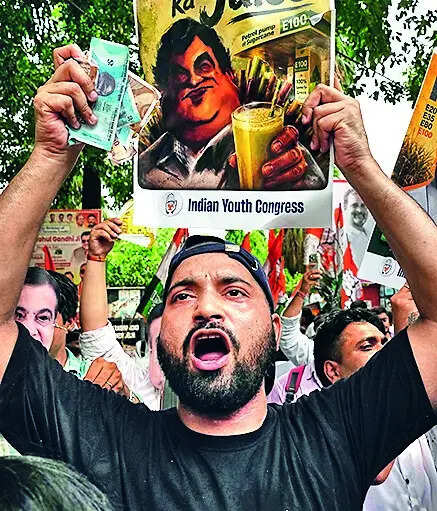 Govt Rules Out Pure Petrol Option Amid E20 Push