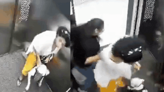 Dog Attacks Girls in Mumbai Lift