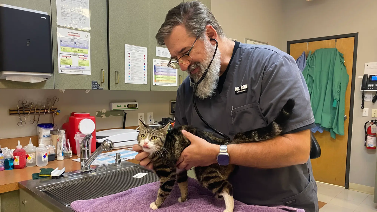 Oregon Vet Earns Double After Leaving $150K Job