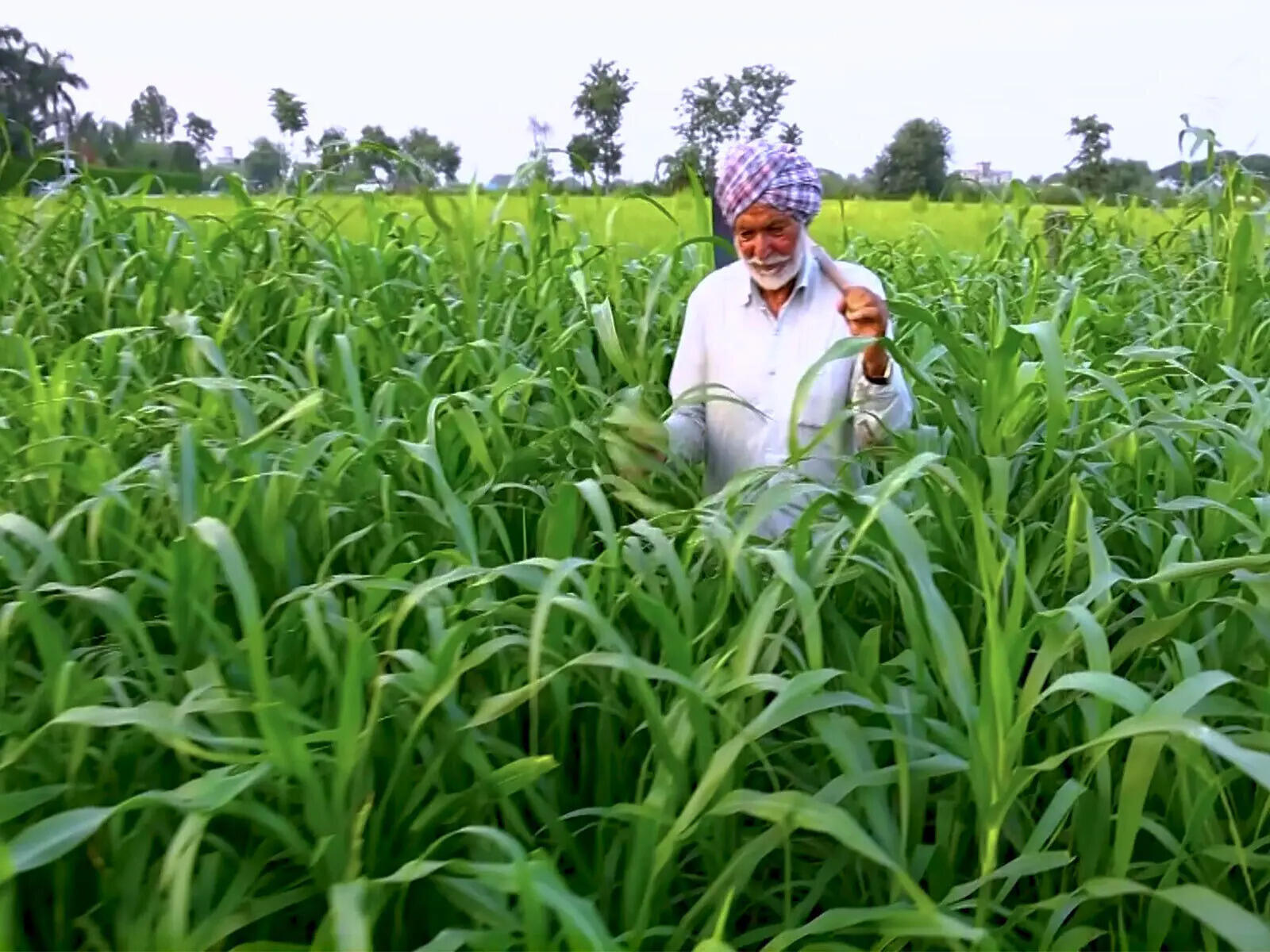 Centre Explores Digital Land Record Link For Farm Loans