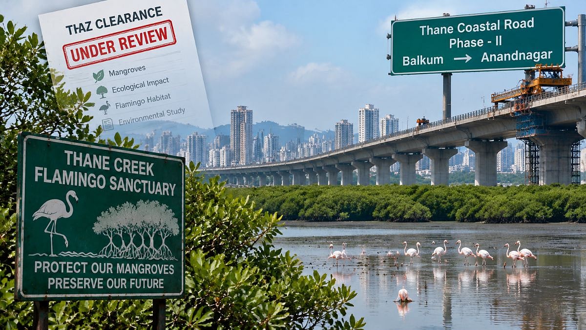 Thane Coastal Road Phase 2 Hits Environmental Hurdle