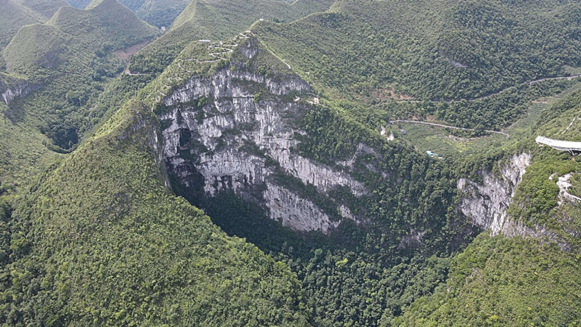China's Sinkholes Shield Rare Magnolia Trees