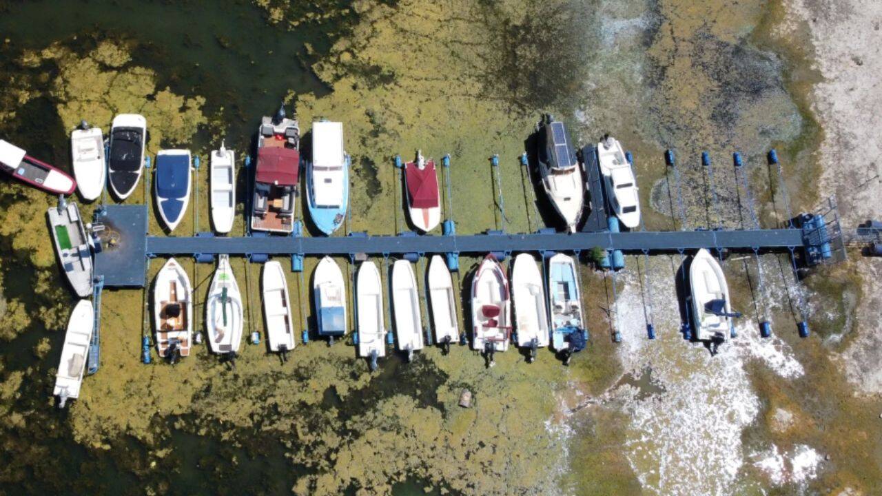 Europe's Rivers Shrink Amid Heatwave