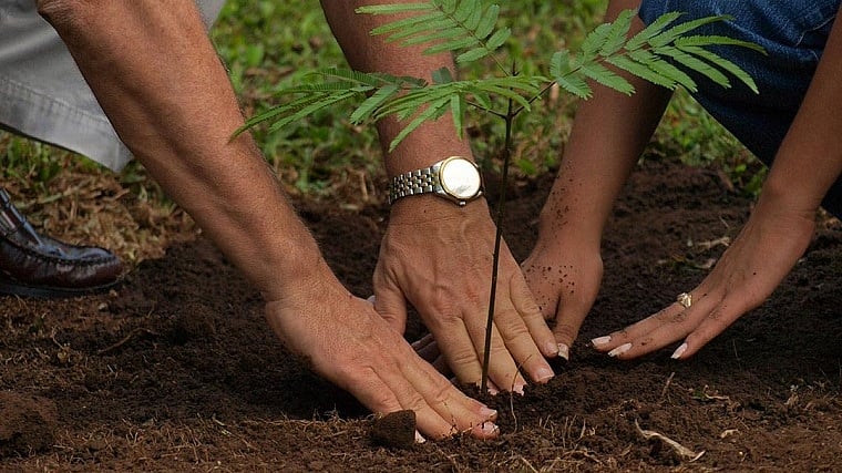 NMMC Launches 'Green Ward' Competition