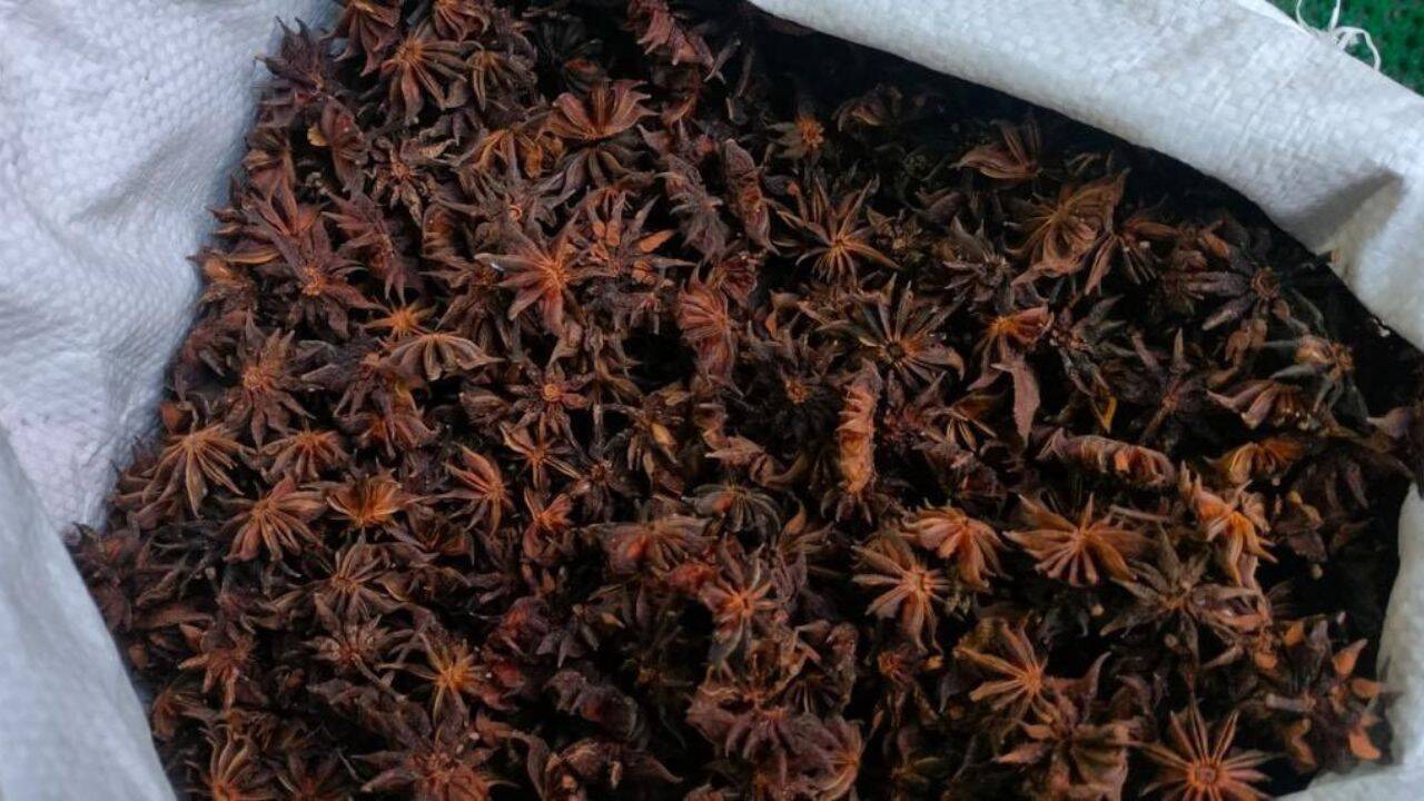 Himalayan Families Earn Rs 39 Lakh from Wild Spice