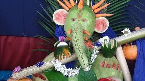 MANS Urges Eco-Friendly Ganesh Festival In Nashik