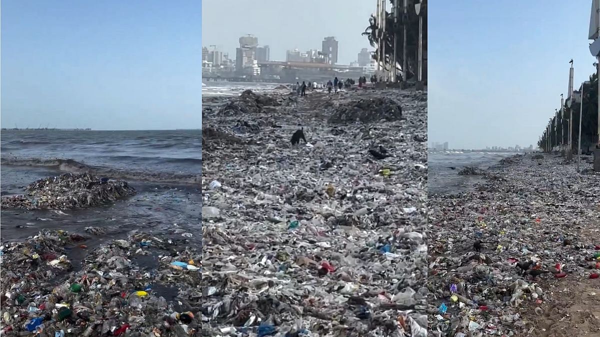 Mumbai's Juhu Beach Overwhelmed By Plastic Waste And Sewage