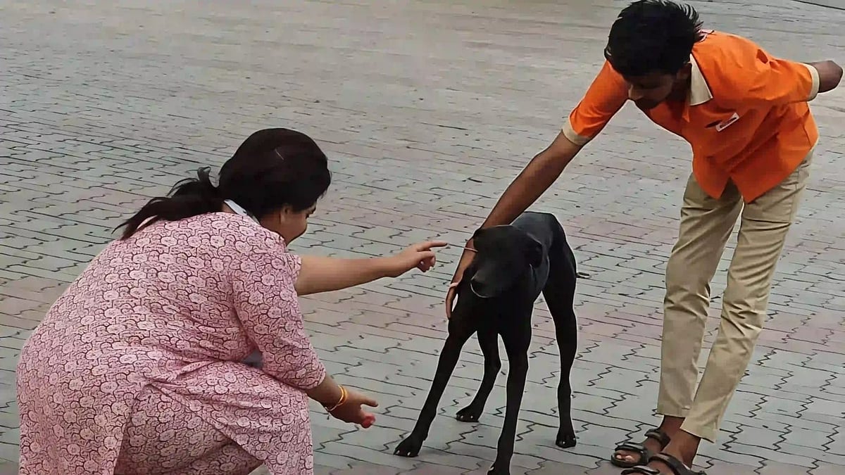 Man Accused Of Sexually Assaulting Stray Dog In Dharampuri