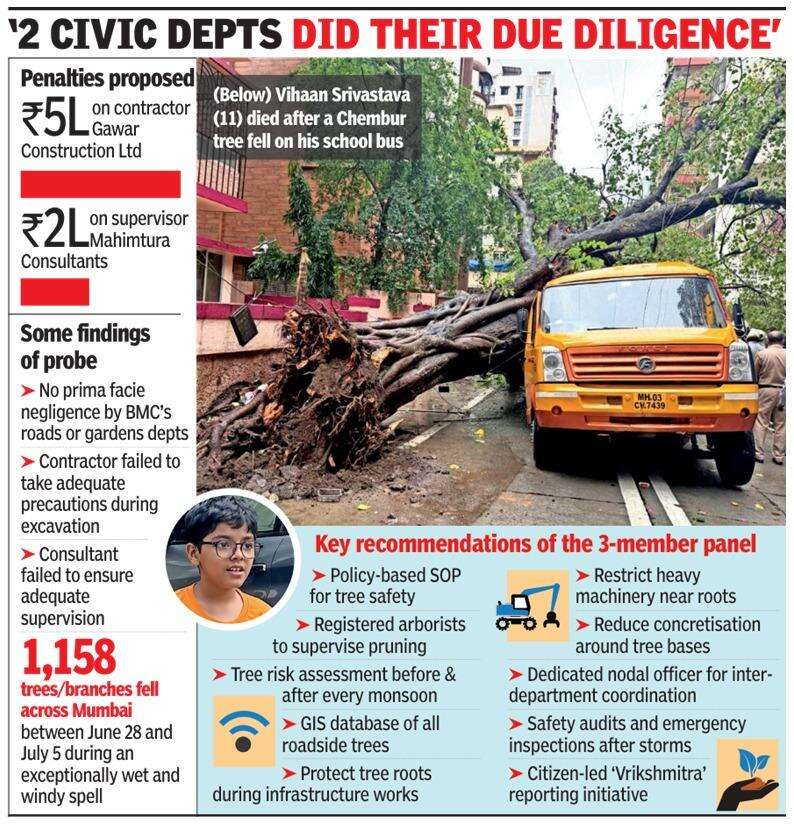 BMC Departments Cleared in Chembur Tree Fall Death