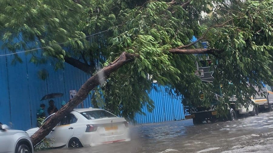 Thane Floods Expose Urban Planning Failure