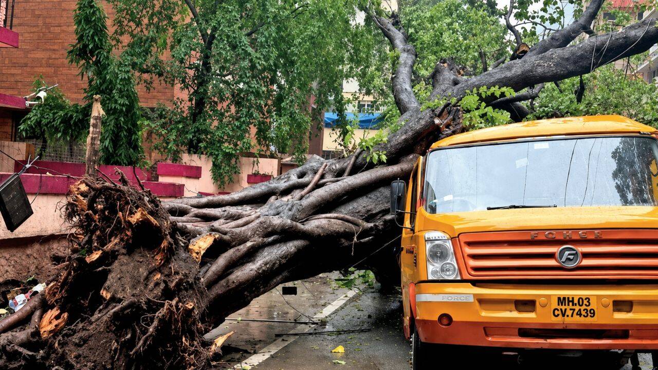 BMC Clears Departments, Fines Contractor Rs 7 Lakh