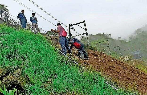 Central Railways Uses Vetiver Grass on Lonavala Hills