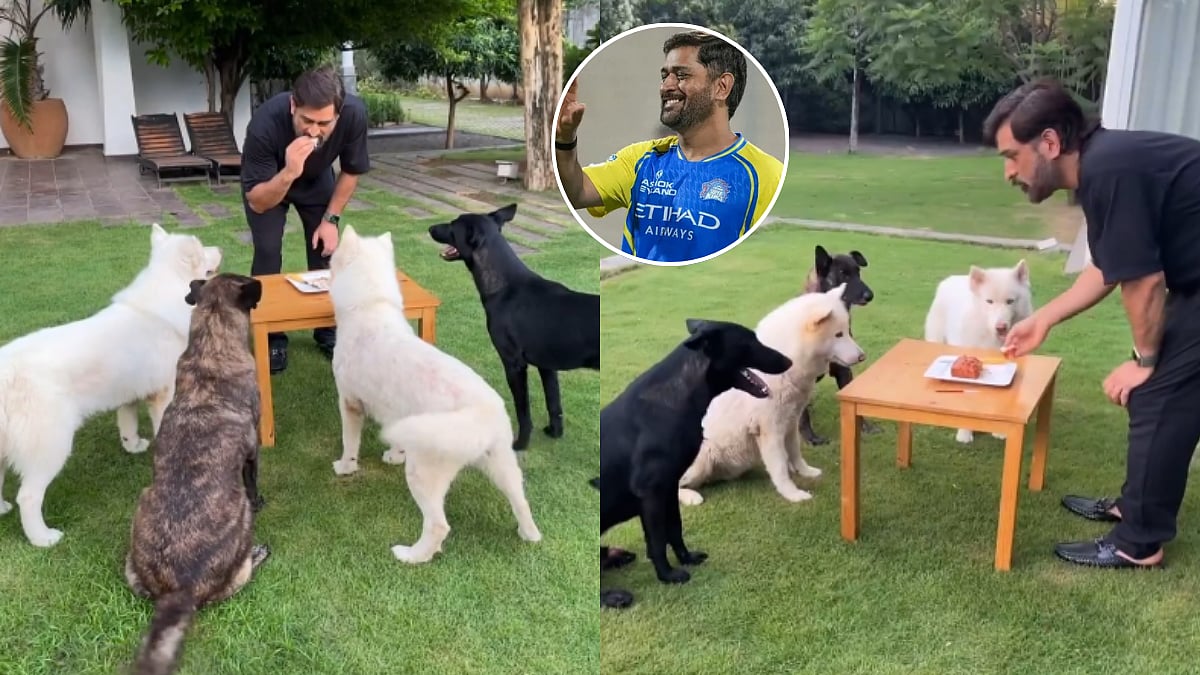 MS Dhoni Celebrates 45th Birthday With Pet Dogs