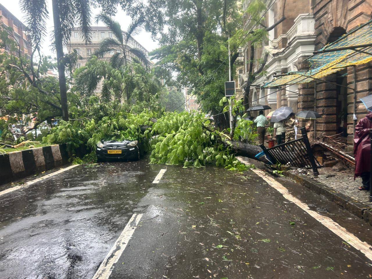 Tree Falls Injure Two in Goregaon