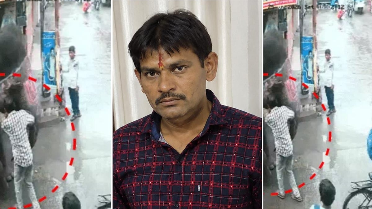 Indore Man Killed by Elephant During Feeding