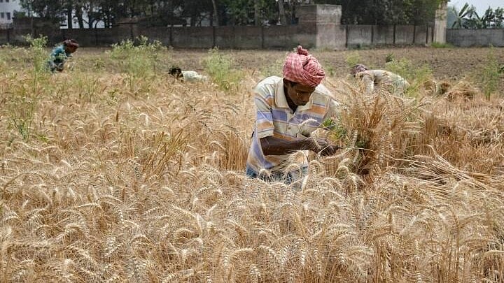MP Cabinet Approves Kawach Yojana for 5,000 Farmers