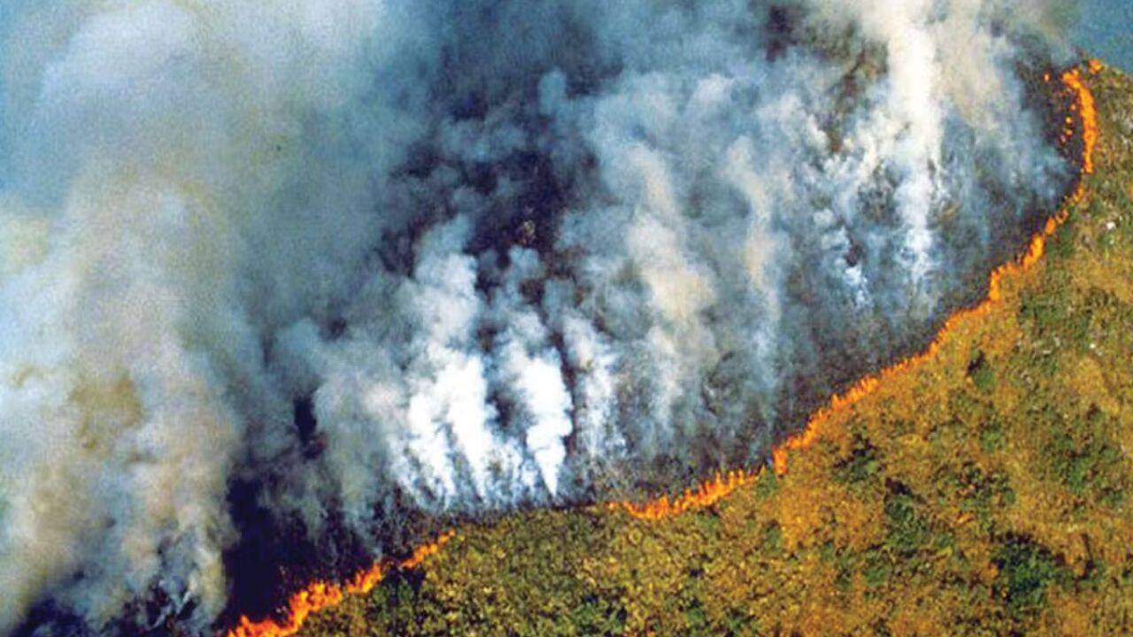 Amazon Forest Fires Hit Record Low in 2025