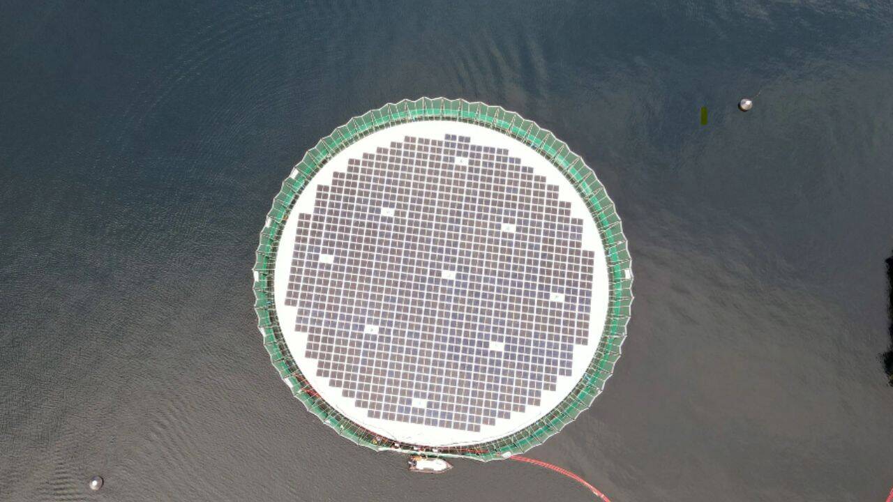 Floating Solar Panels Create New Home For Salmon