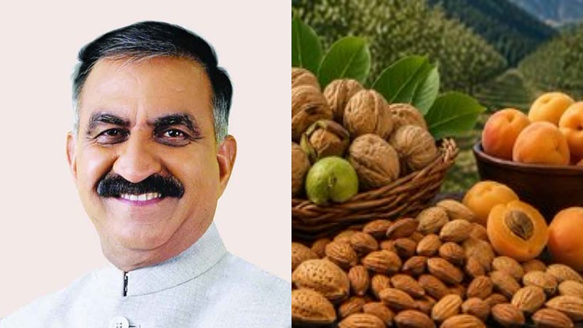 Himachal Launches High Value Nut Mission