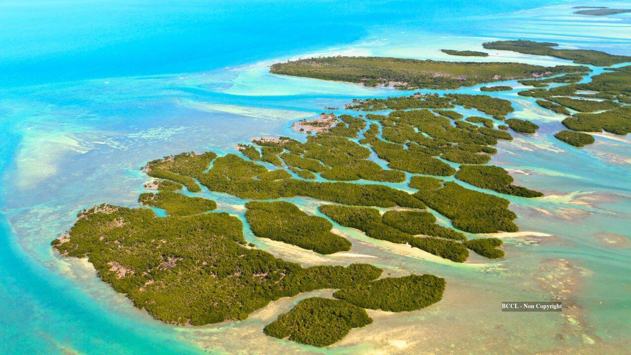 Florida Keys Island Sold in 1956 Sees Heirs Win Building Fight