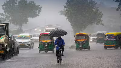 Madhya Pradesh Issues Heavy Rain Alert