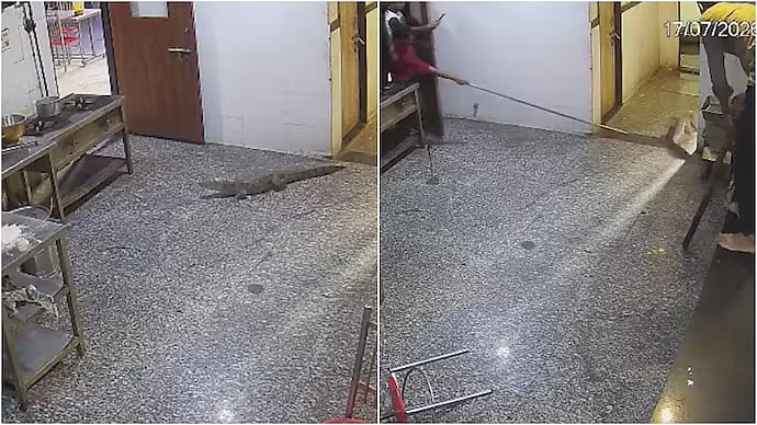 Crocodile Enters Kota Hostel, Rescued Safely
