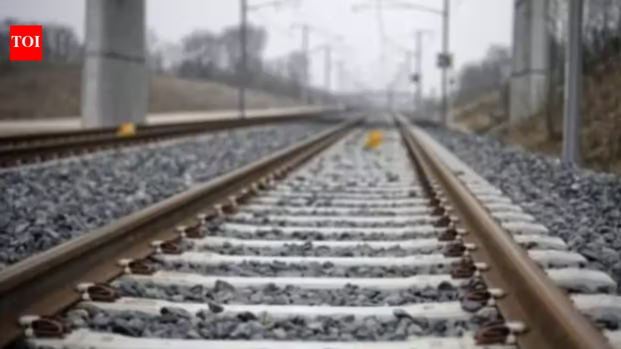 Faridabad Man Dies After Jumping In Front Of Train