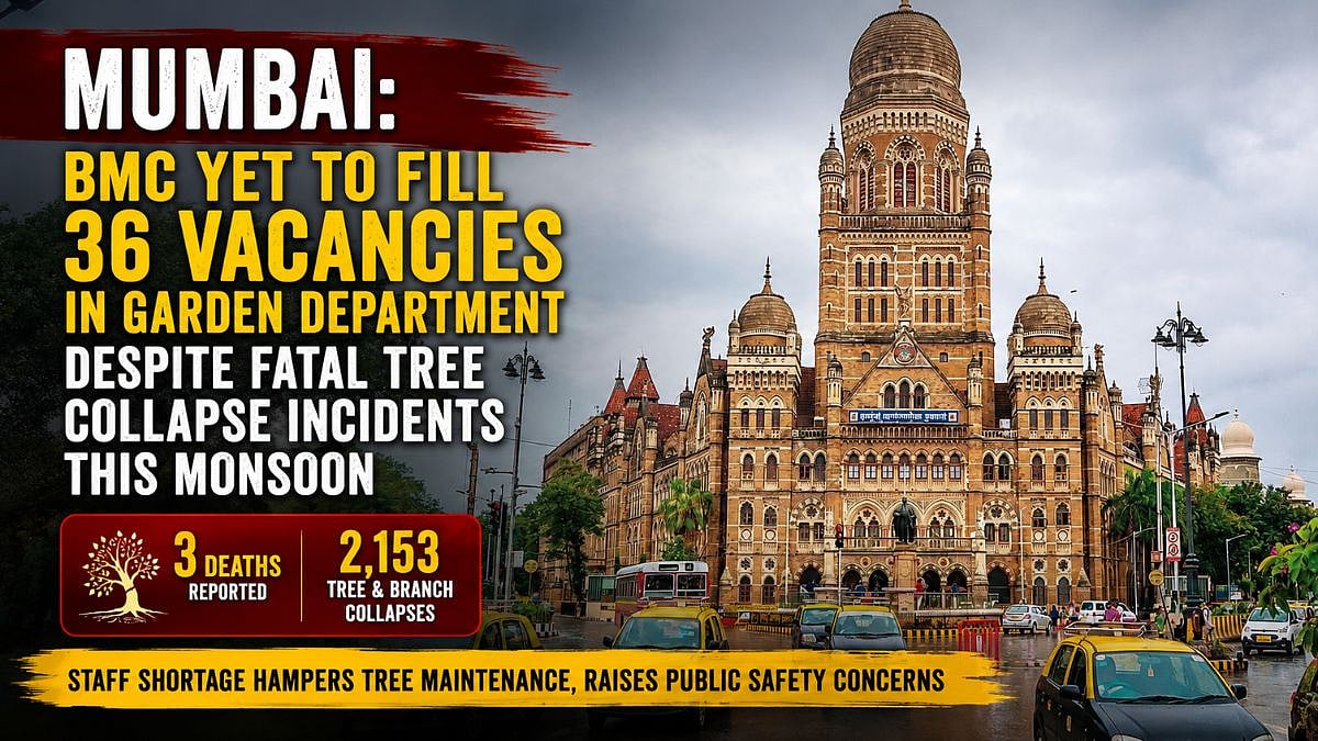 BMC Fails to Fill 36 Garden Department Vacancies Amid Tree Collapse Incidents