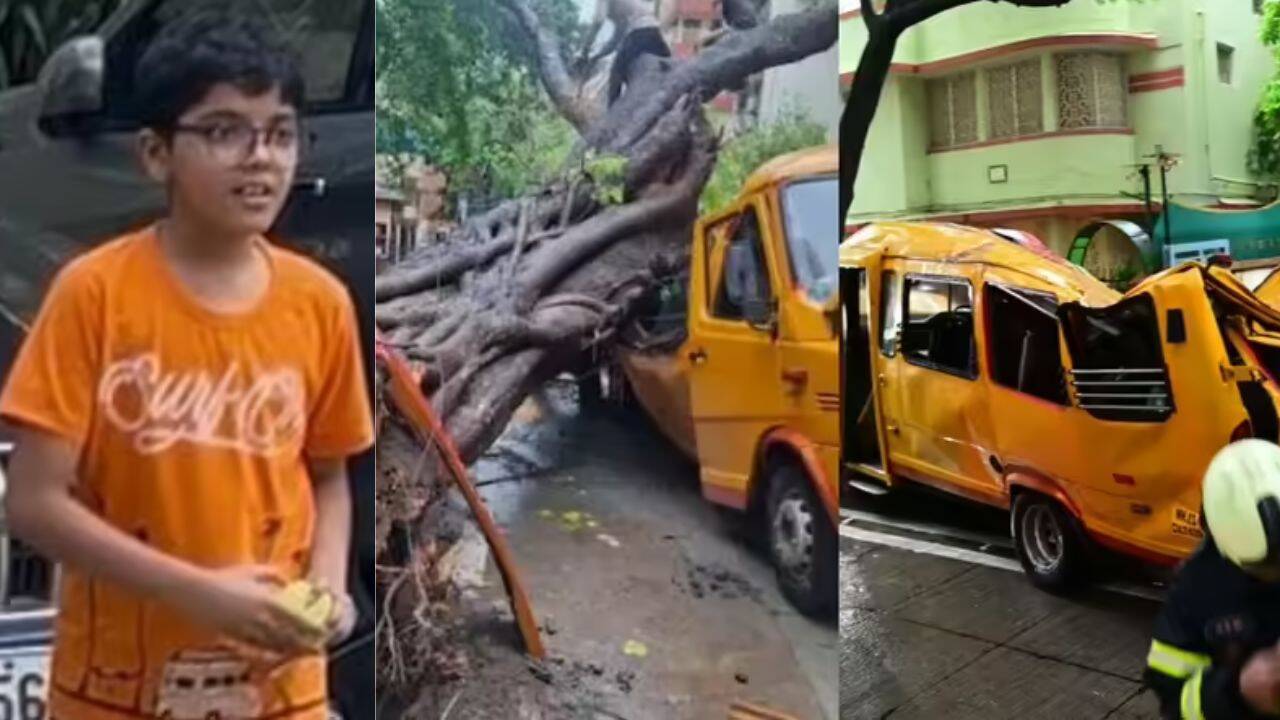 Tree Collapse Kills Boy in Chembur