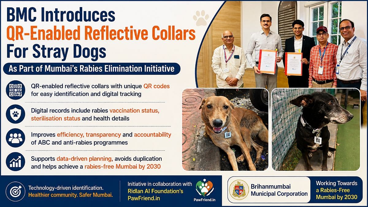 BMC Introduces QR Collars For Stray Dogs