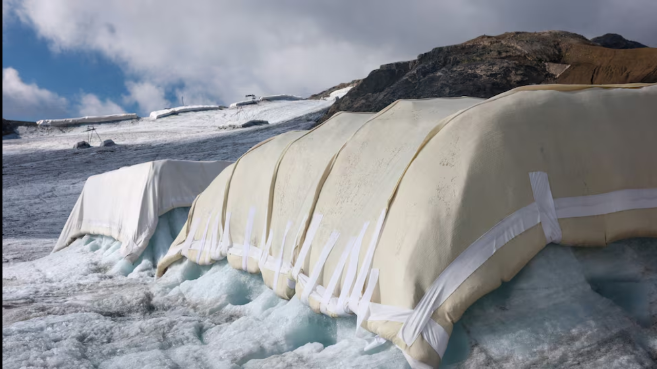 Swiss Glacier Covered with Sheep's Wool to Slow Melt