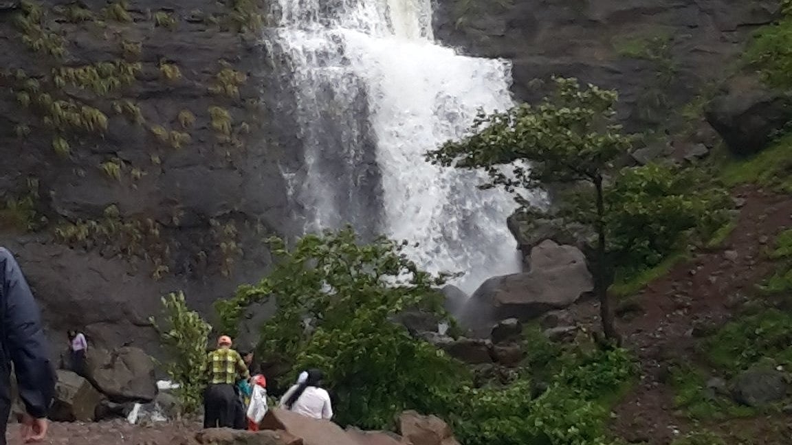 Nashik Forest Dept Imposes Curbs At Harihar Fort