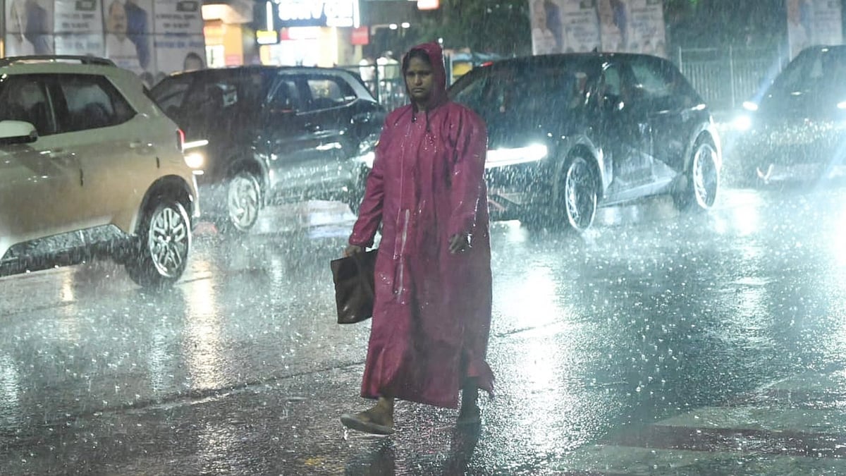 Madhya Pradesh Hit by Heavy Rain, Bhopal Records 1.5 Inches