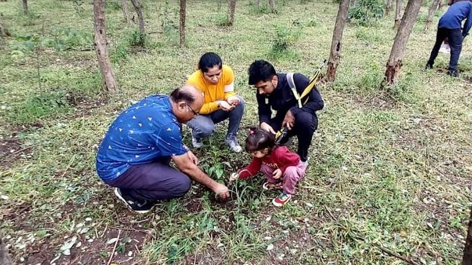 Nashik's Green Crusader Transforms City