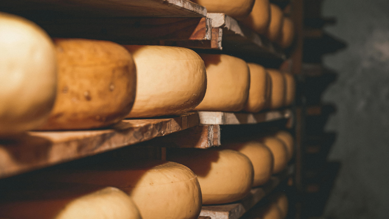 Europe Heatwave Threatens 800-Year-Old Parmesan Cheese