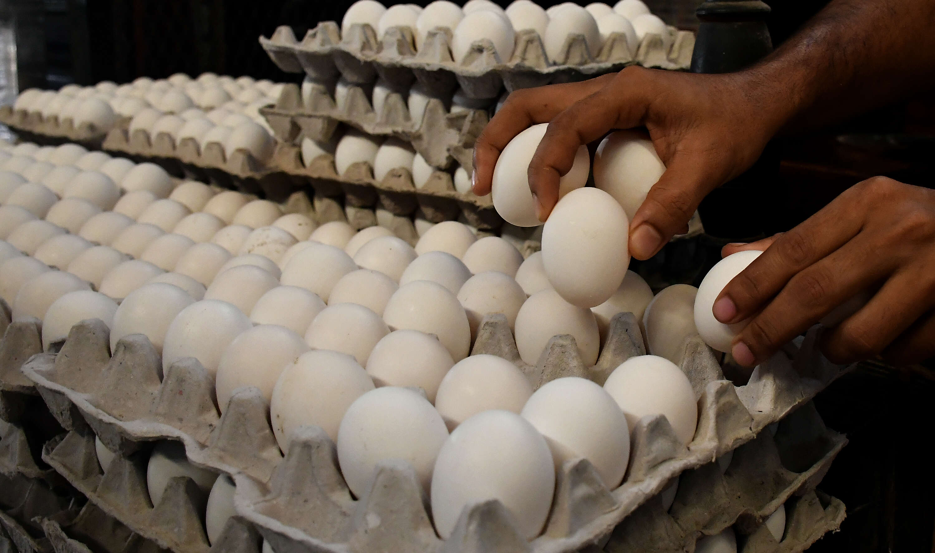 Egg Prices Hit Record High In Mumbai