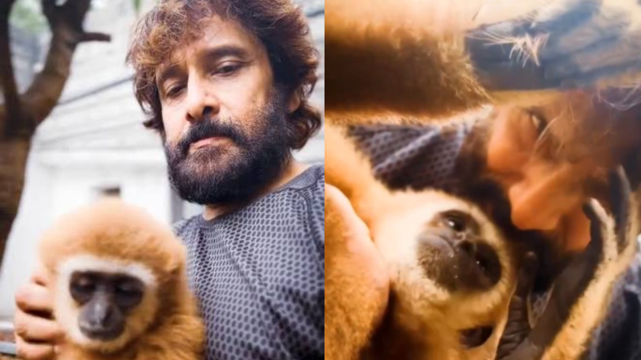 Vikram's Video Sparks Probe into Endangered Gibbon Ownership