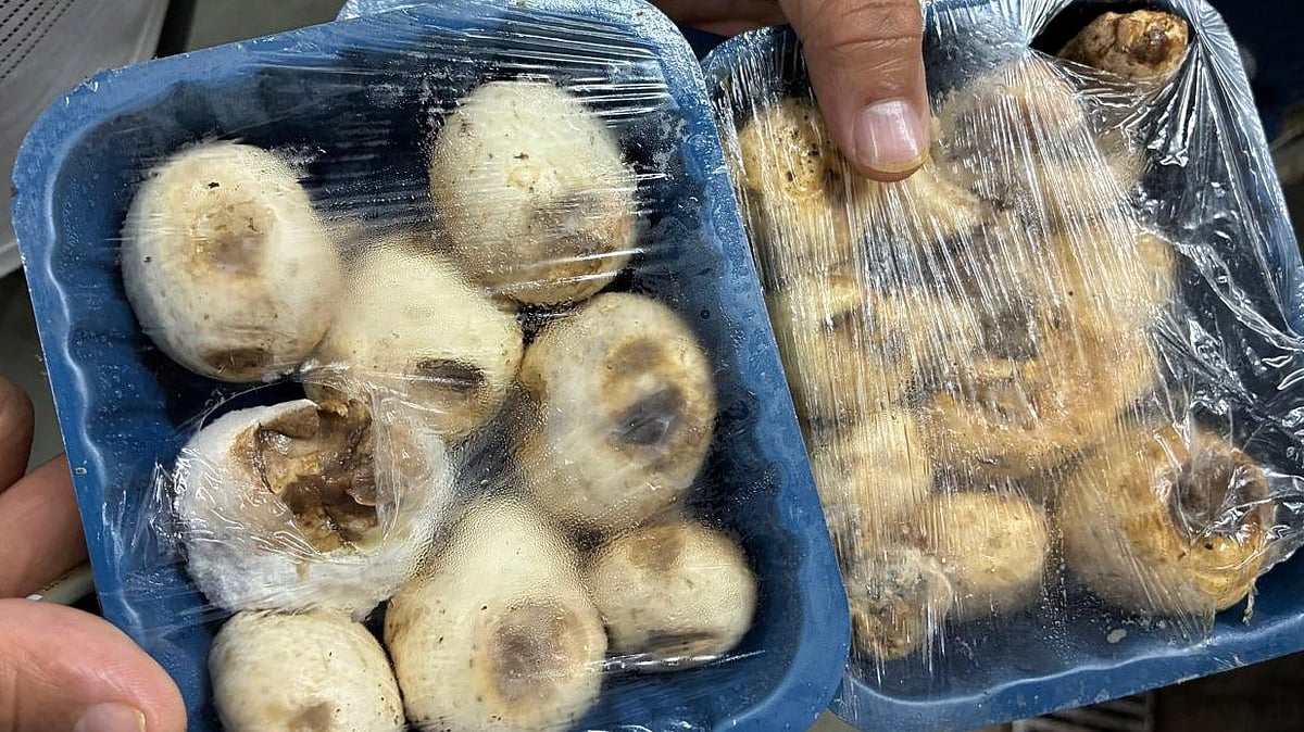 Bhopal Hotels Exposed For Food Safety Lapses