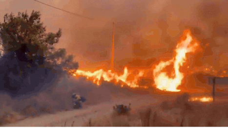 Wildfire in Spain Kills 12, Turns Sky Orange