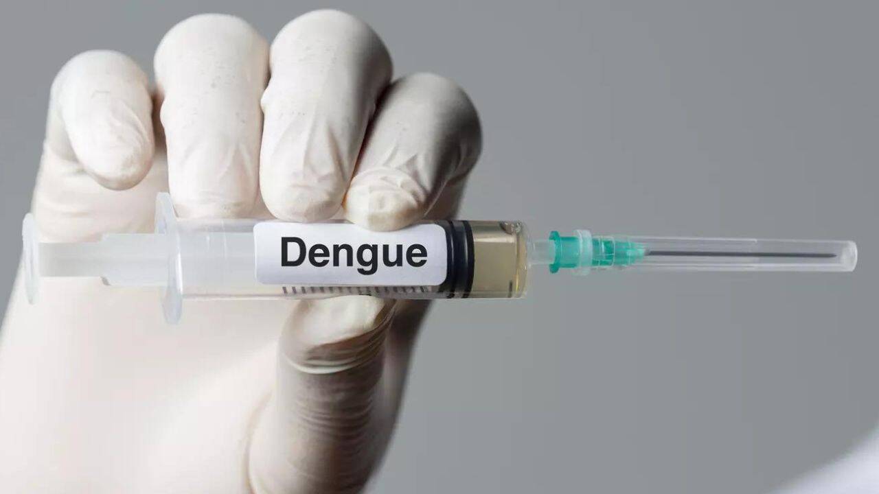 India Approves First Dengue Vaccine QDENGA